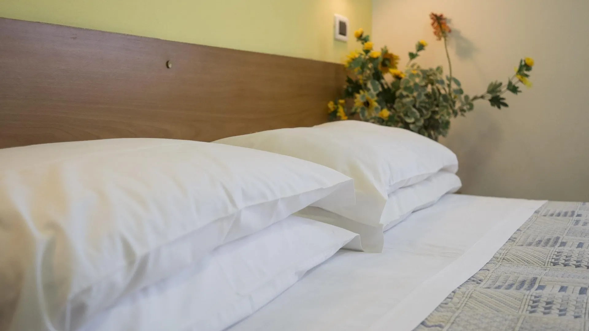 רימיני Hotel Eliseo